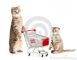 mother-cat-shopping